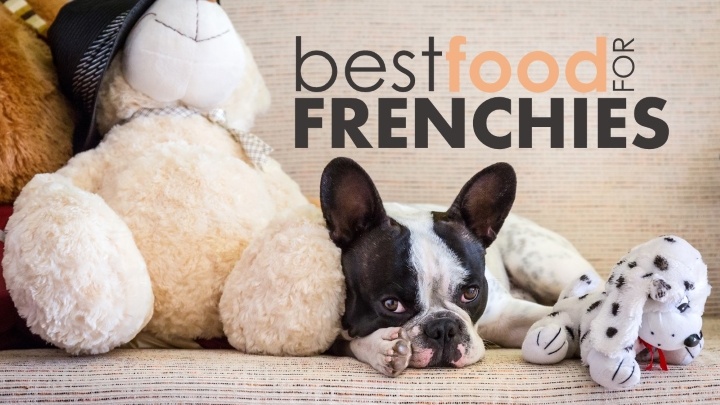 Best food for french bulldogs
