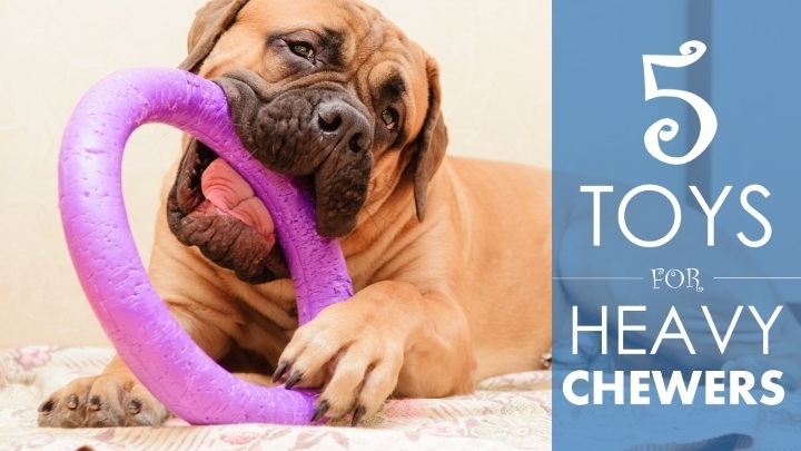 Best dog toys for heavy chewers