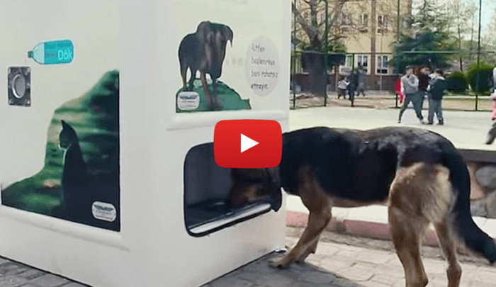 Dog food vending machine