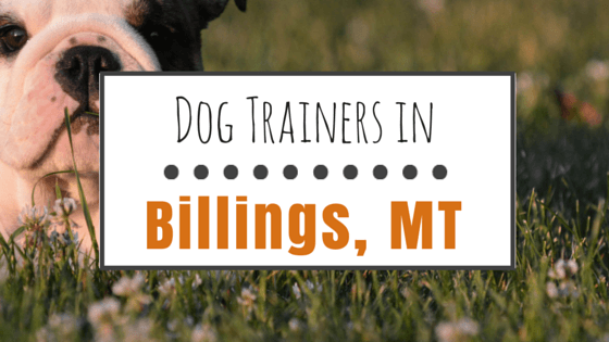Dog Training in Billings MT