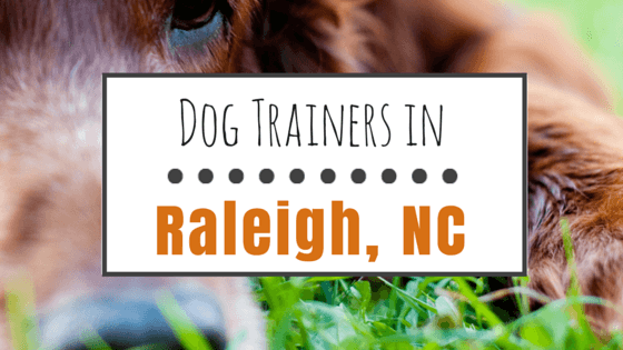 Dog Trainers in Raleigh NC