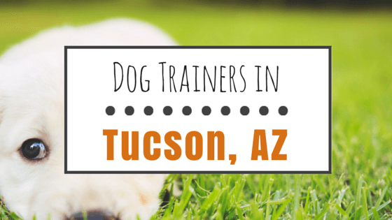Dog Trainers in Tucson AZ