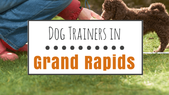 Dog Training in Grand Rapids MI