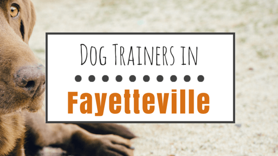Dog Trainers in Fayetteville NC
