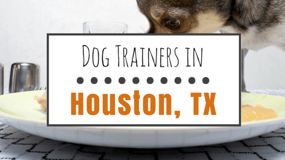 Dog Training in Houston TX