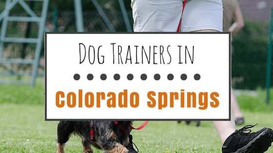Dog Trainers in Colorado Springs CO