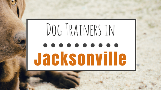 Dog Trainers in Jacksonville FL