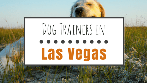 Dog Training in Las Vegas NV