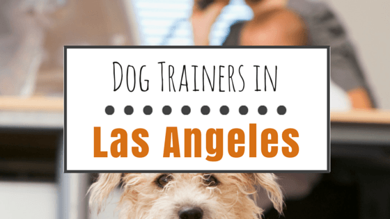 Dog training in Los Angeles CA