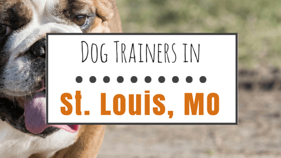 Dog trainers in St. Louis