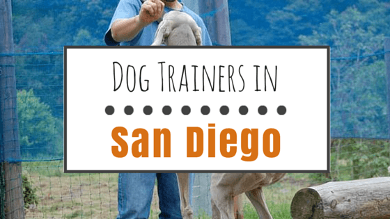 Dog trainers in San Diego
