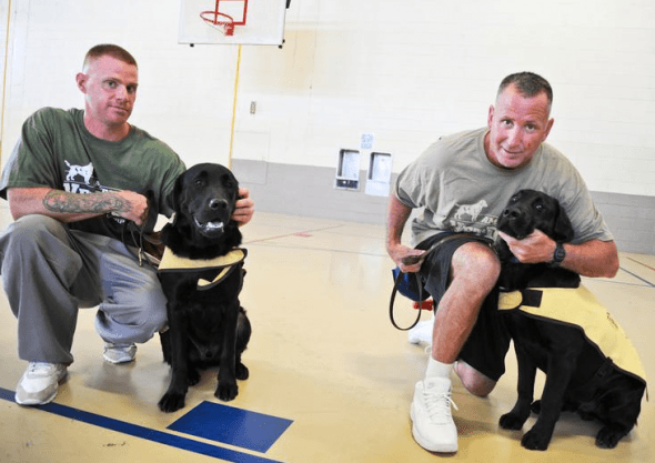 Service dogs trained by inmates