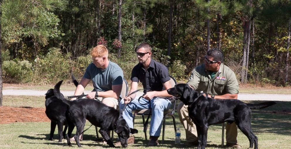 marines reunited with dogs
