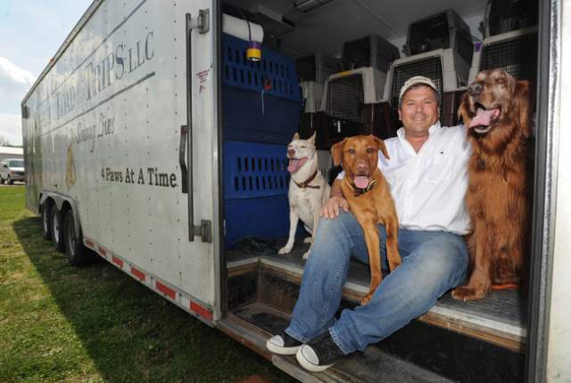 Man transports dogs up north