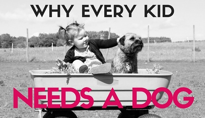 Dogs and kids