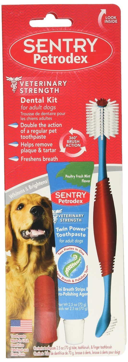 Best Dog Toothpaste 3