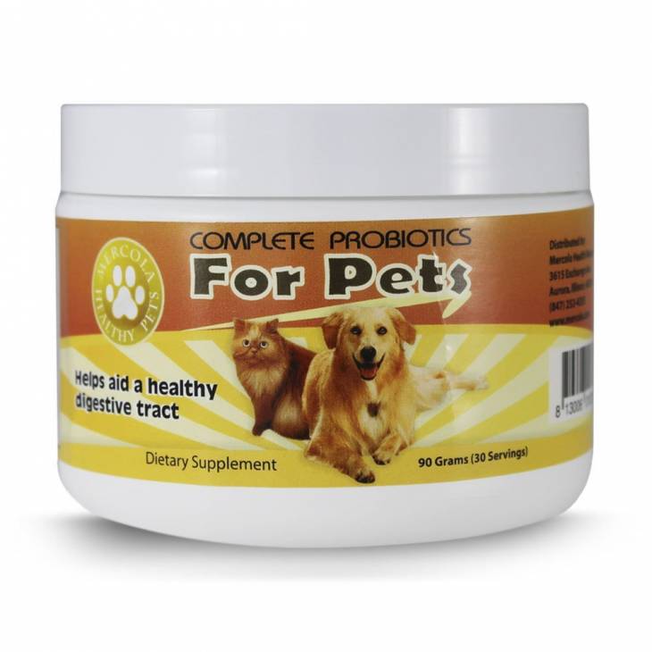 Best Probiotic For Dogs 4