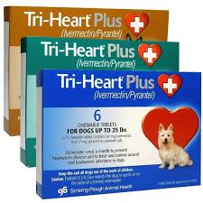 best heartworm medicine for dogs