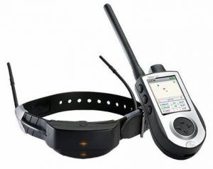 SportDOG TEK-V1LT TEK 1.0 GPS Tracking + E-Collar System for Dogs
