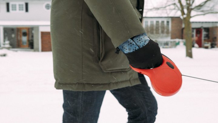 Winter Glove Designed for Dog Owners