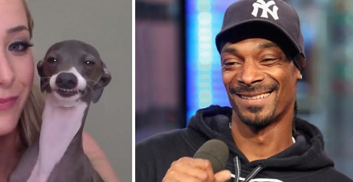 Long-lost Brother of Snoop Dogg