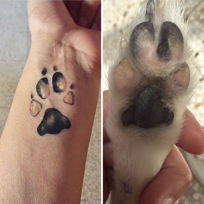 Dog Tattoo And Paw