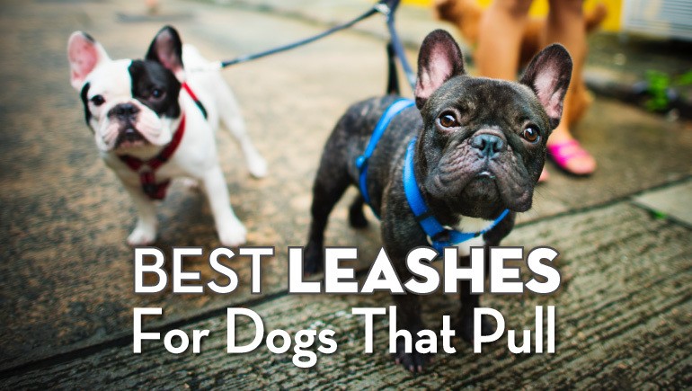 leashes for dogs that pull-01