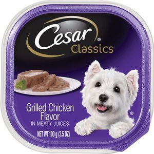 Cesar Classics Pate Grilled Chicken Dog Food Trays