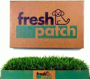 Fresh Patch Disposable Dog Potty With Real Grass