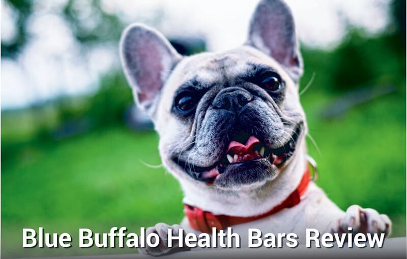 blue buffalo health bars review