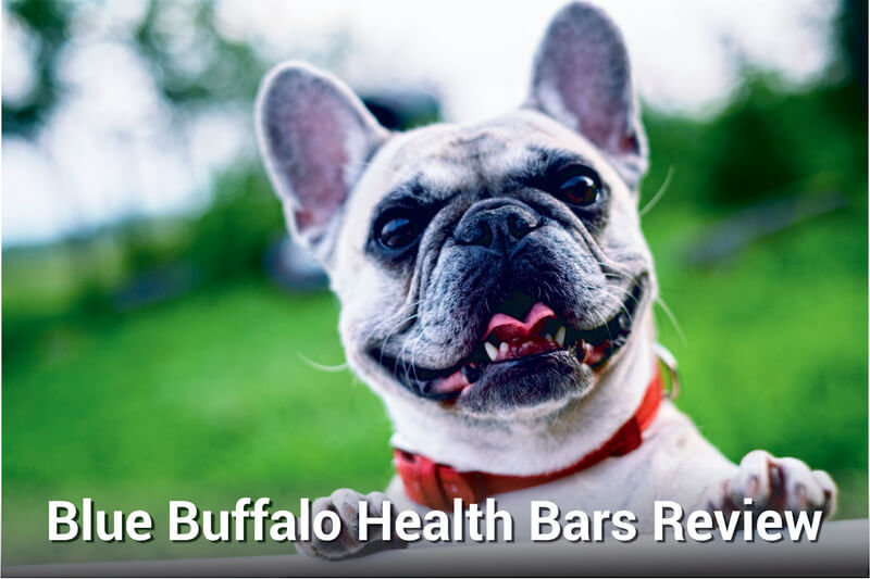 blue buffalo health bars review