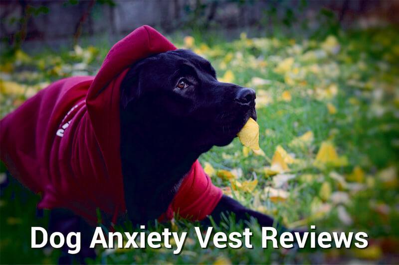 dog anxiety vest reviews