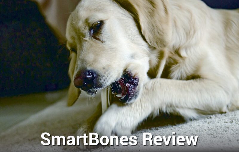 SmartBones Review