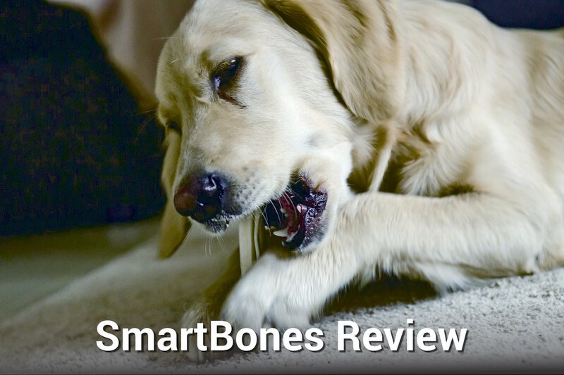SmartBones Review