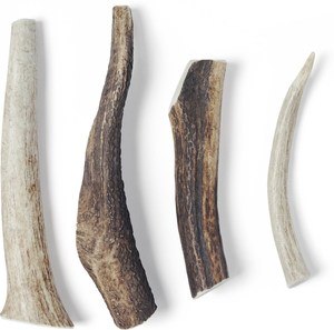 USA Bones & Chews Elk Antler