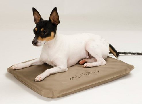k and h lectro soft heated pet bed