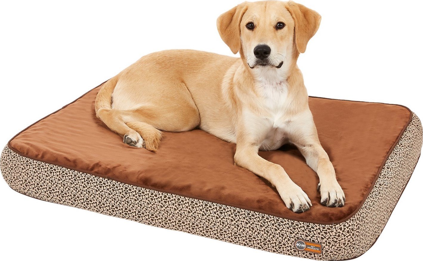 orthopedic beds for older dogs