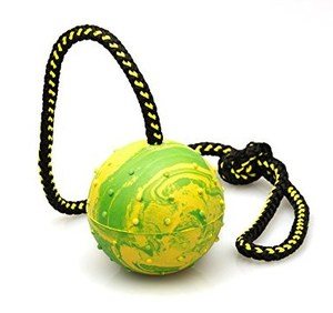 K9 Warrior Rubber Ball & Rope