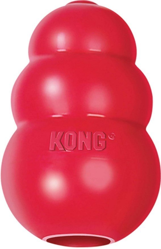 kong dog chew toy review
