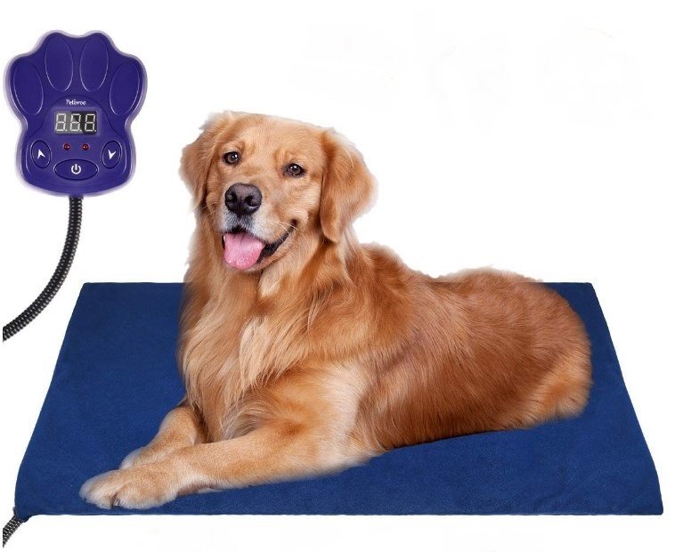 top rated heated dog beds