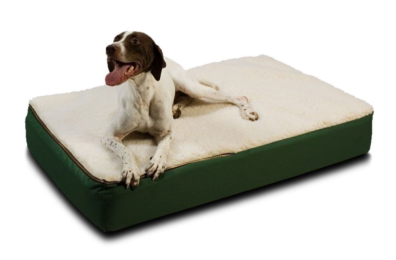 dog bed for older dogs reviews