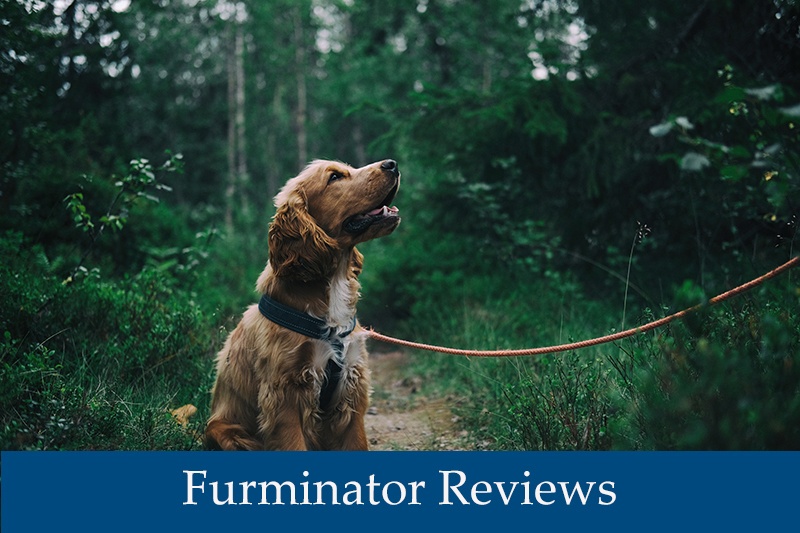 Furminator Reviews