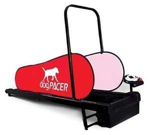 MiniPacer Dog Treadmill Review