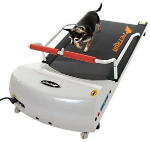 gopet dog treadmill review