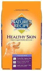 Healthy Skin Vegetarian Recipe