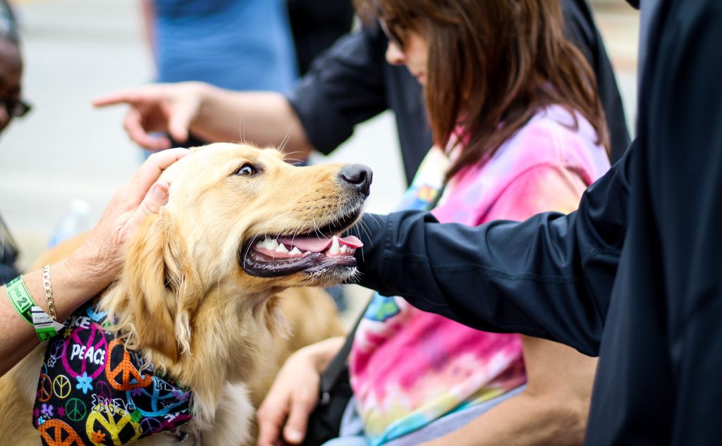 Is Your Emotional Support Dog Document Really in Jeopardy?