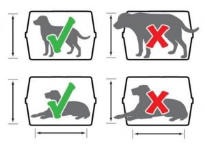 kennel size chart
