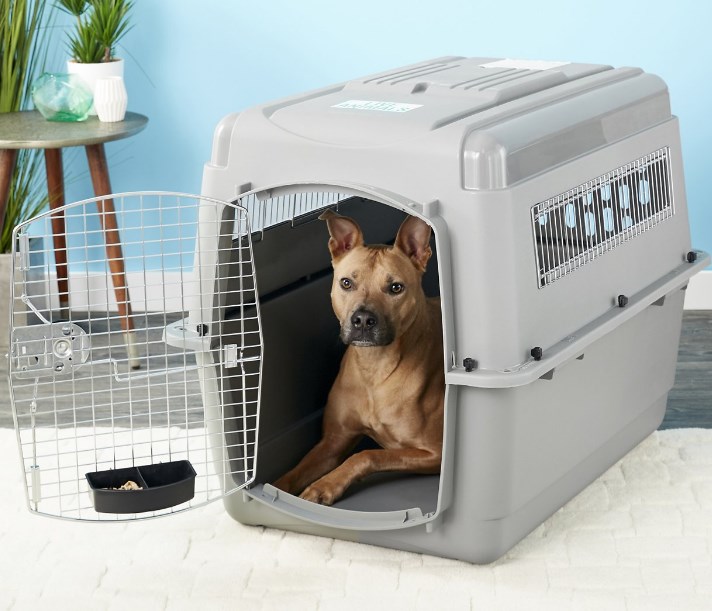 petmate sky kennel with a dog
