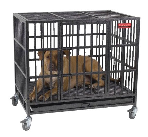 pro select empire cage large