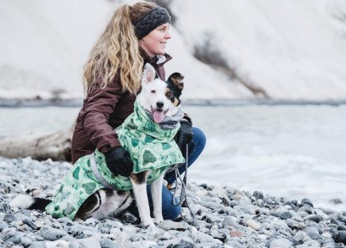 dog in a coat with a girl
